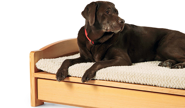 A Woodworker’s Dog Bed